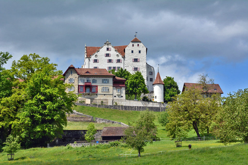 Schloss Wildegg 01